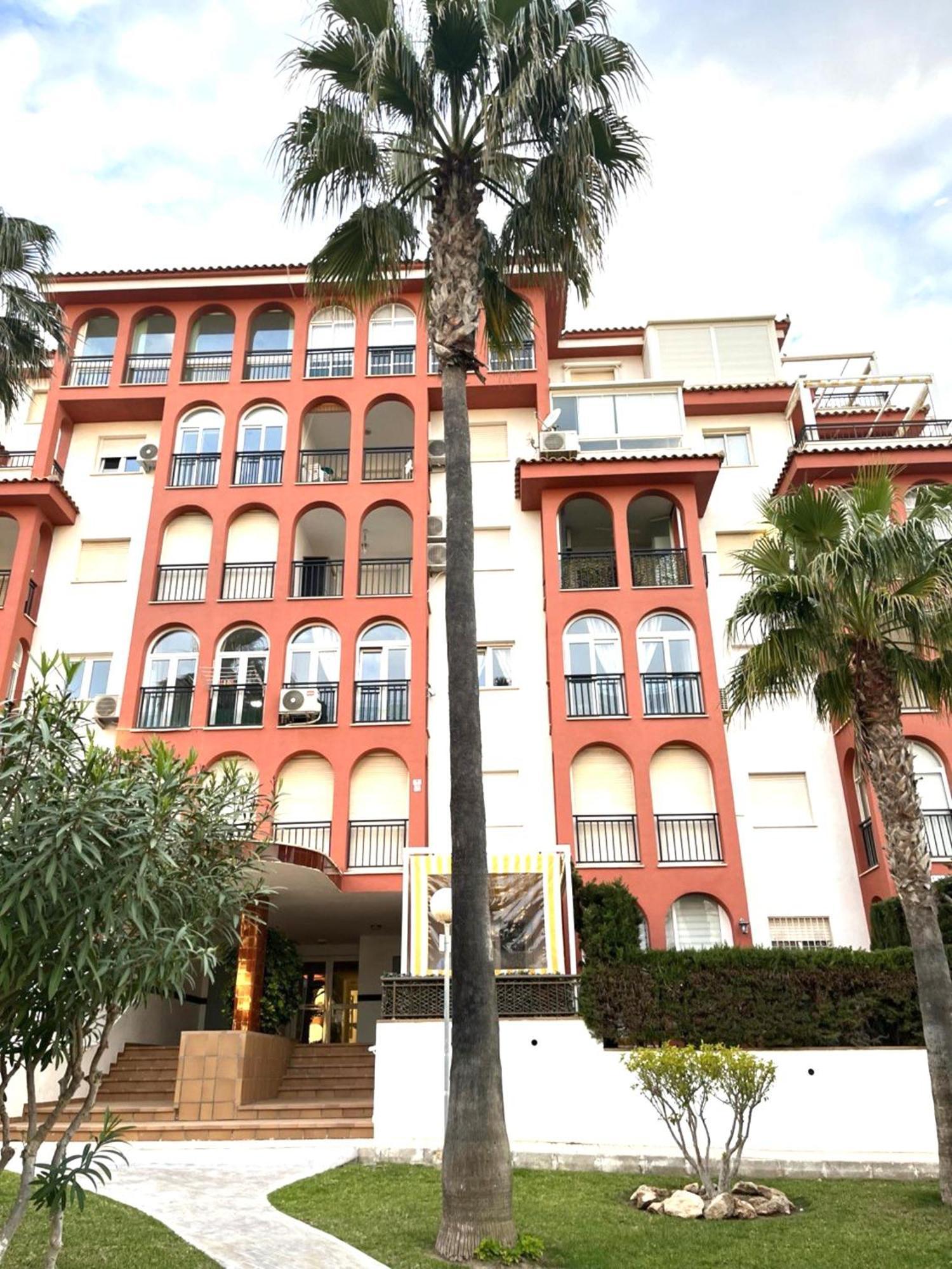 Grace Lägenhet Torrevieja Exteriör bild